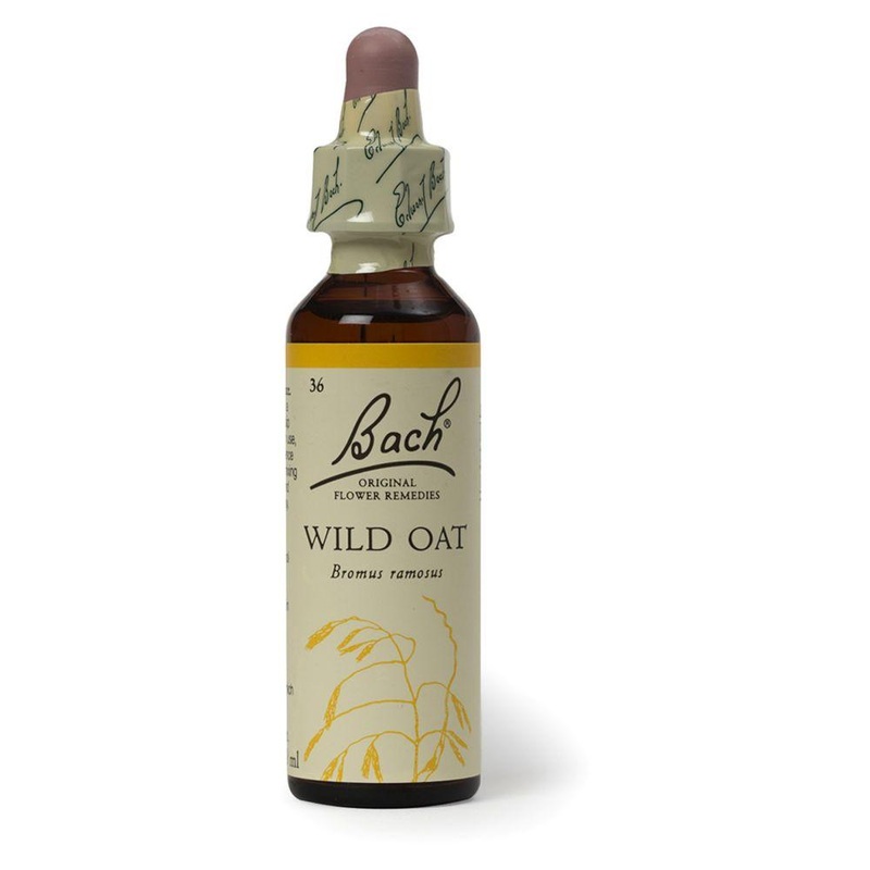 Original Flower Remedy Wild Oat Dropper 20MlFlower Essence