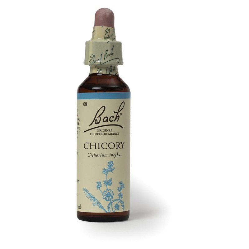 Original Flower Remedy Chicory Dropper 20MlFlower Essence