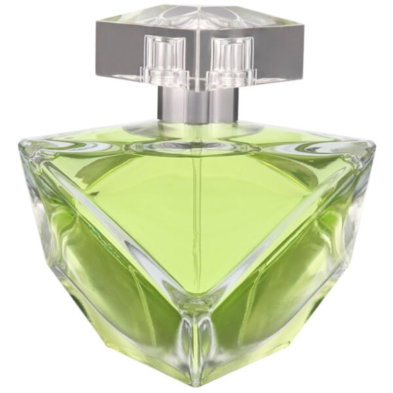 Britney Spears Believe Eau de Parfum Spray 100ml 100ml