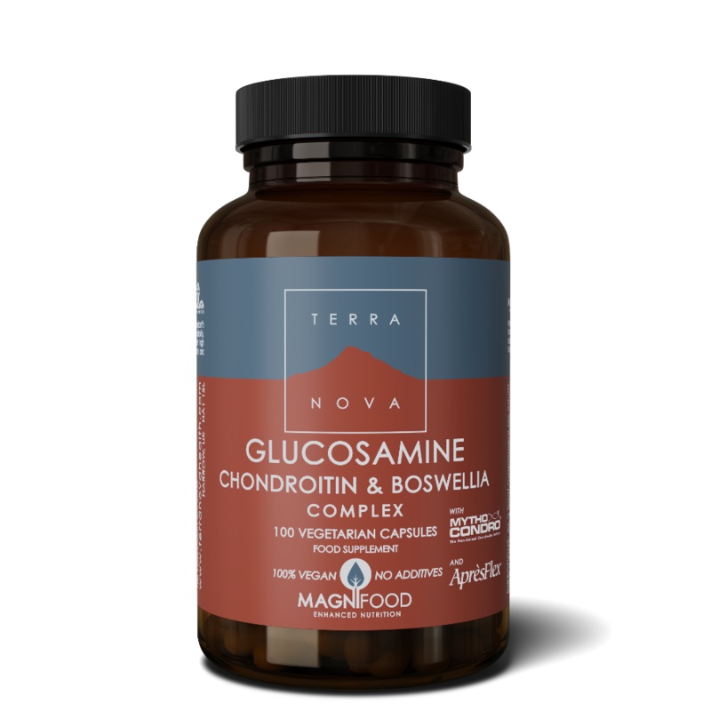 Glucosamine Chondroitin 100 capsules