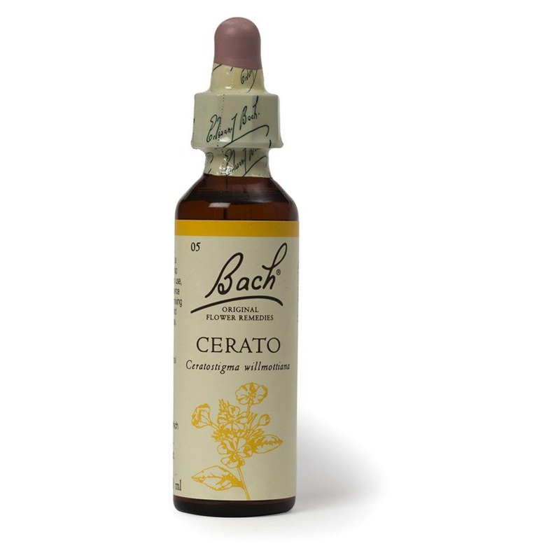 Original Flower Remedy Cerato Dropper 20MlFlower Essence